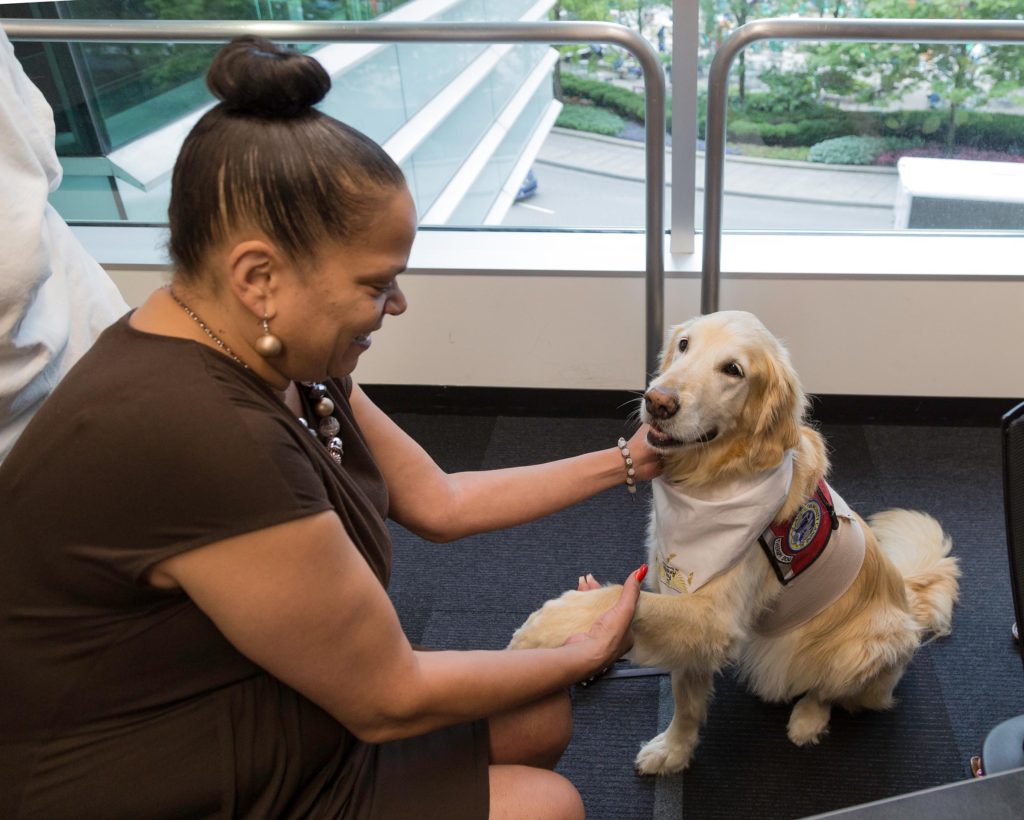 Here Stephanie Williams greets Odie, a golden retriever, as trainers from Fur Angels headline a lunch & learn program at Walbridge in Detroit. The organization brings trained canines to nursing homes and hospitals to interact with the elderly and infirmed.